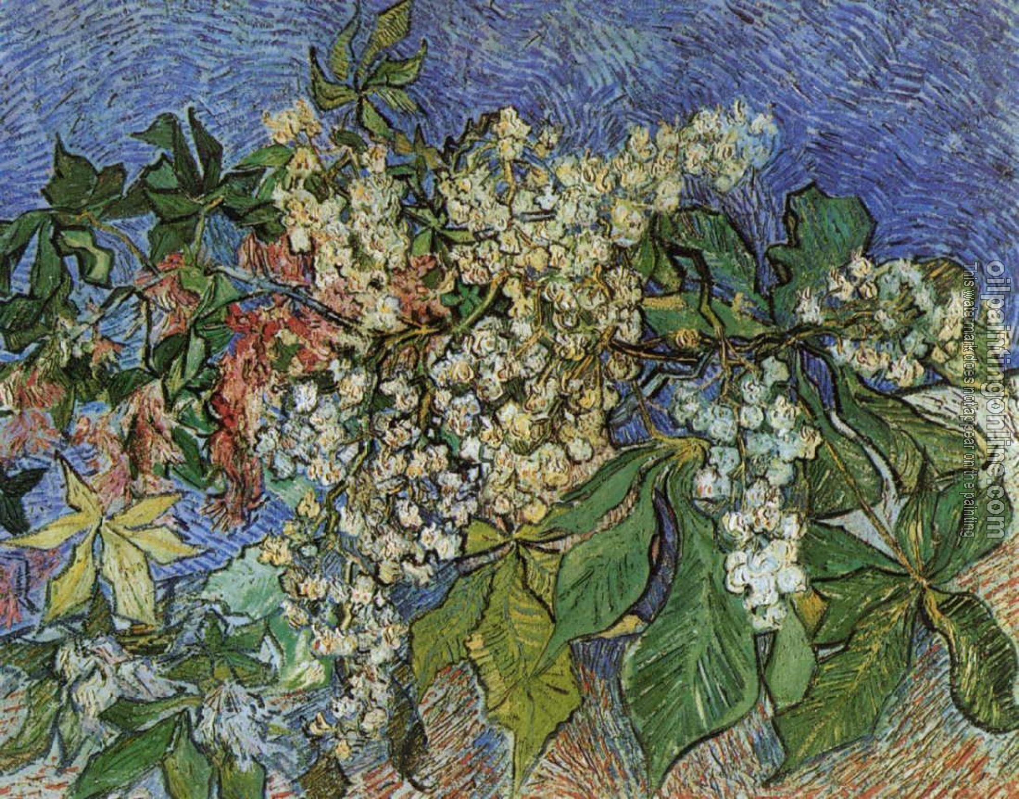 Gogh, Vincent van - Blossoming Chestnut Branches